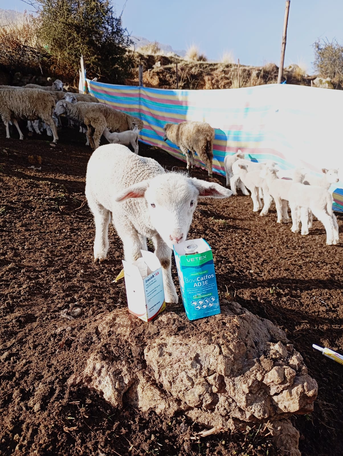 Granja y Agricultura